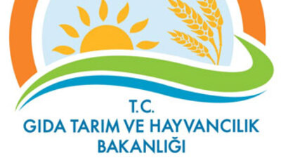 Bu ürünlerden uzak durun!