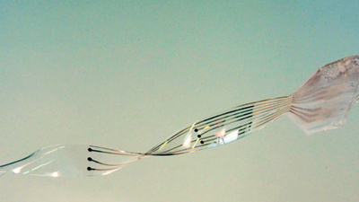 Esnek protez mucizesi