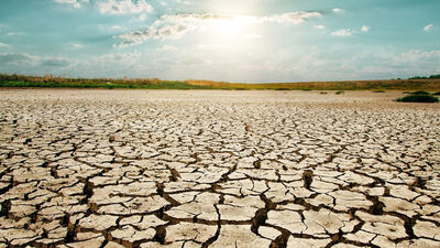 'En kurak yıl oldu!'