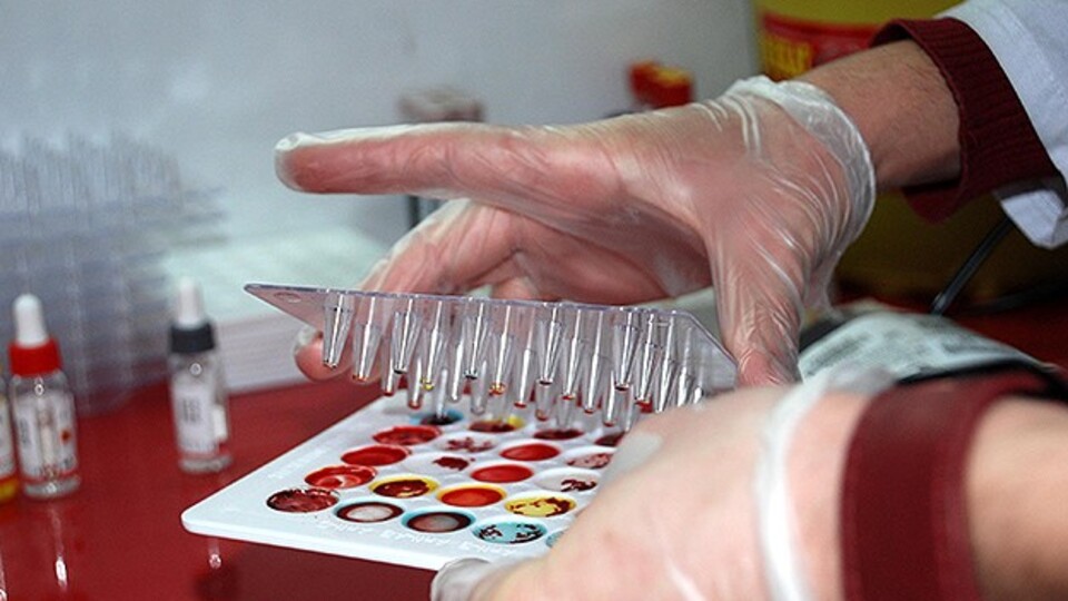 TÜRKÖK dünyaya da umut olacak