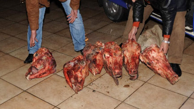 İşte 'At Eti' satanın cezası!