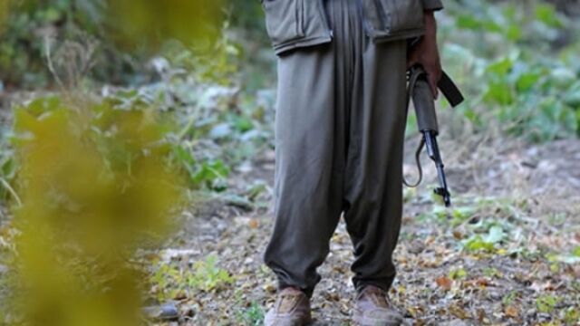 Şırnak'ta bir terörist teslim oldu