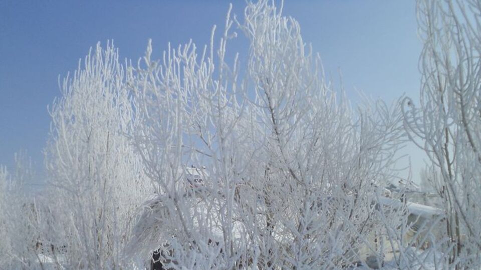Sibirya değil Varto!