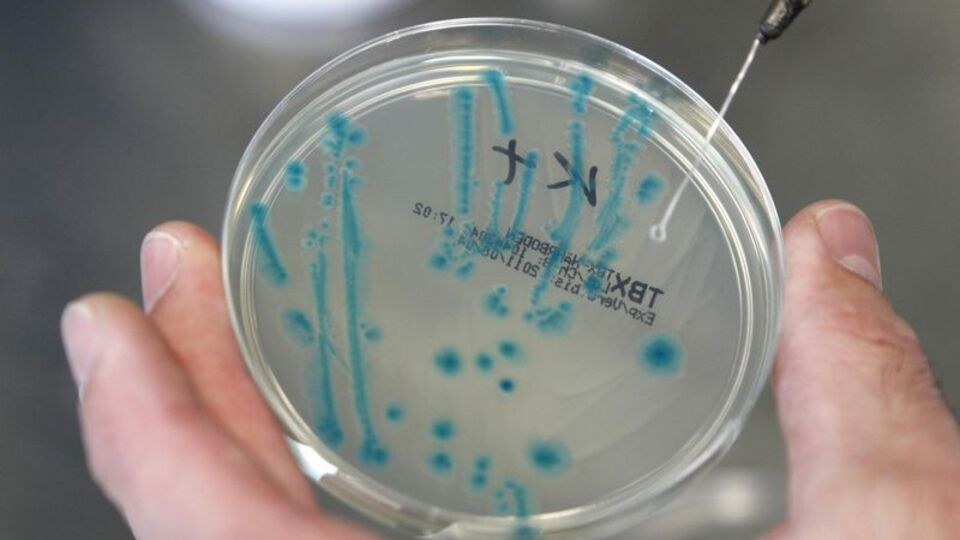 Hastanede gizemli bakteri iddiası!