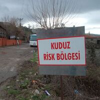 Çanakkale'de kuduz karantinası!