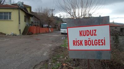 Çanakkale'de kuduz karantinası!