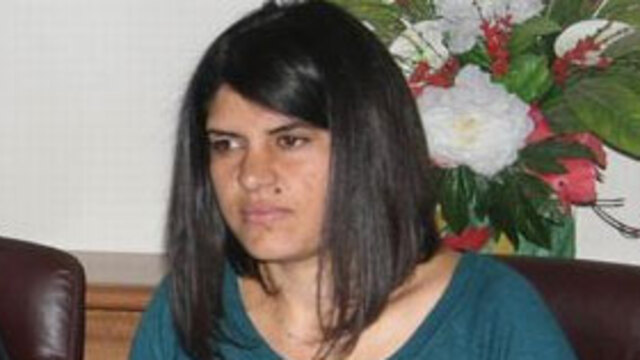 Yeğen Öcalan'a Meclis formülü