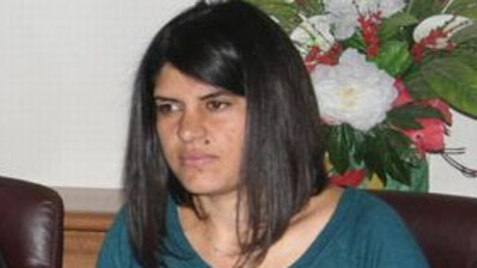 Yeğen Öcalan'a Meclis formülü