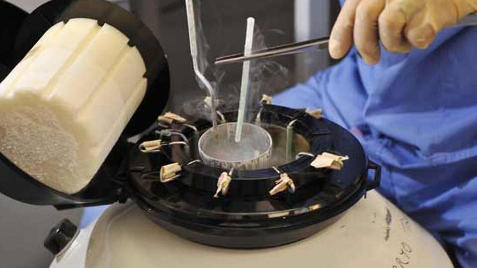 Sağlık Bakanlığı'ndan genelge