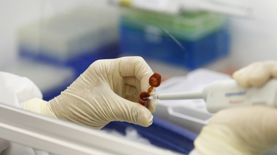 Domuz gribi can aldı