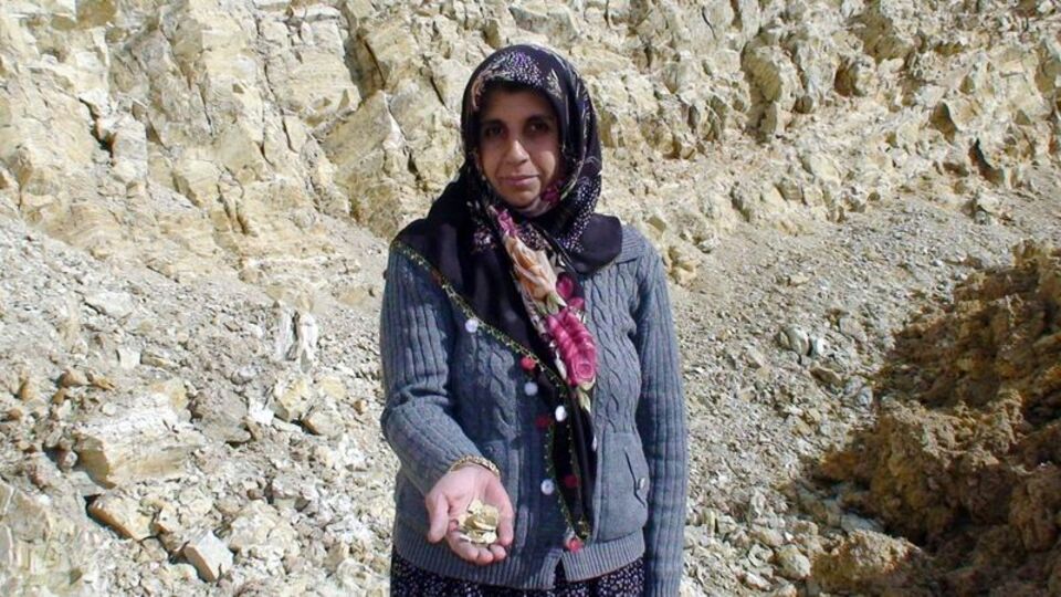 "Kova kova, çerez gibi yiyorlar"