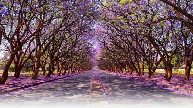 Dünyanın bütün renkli sokakları...