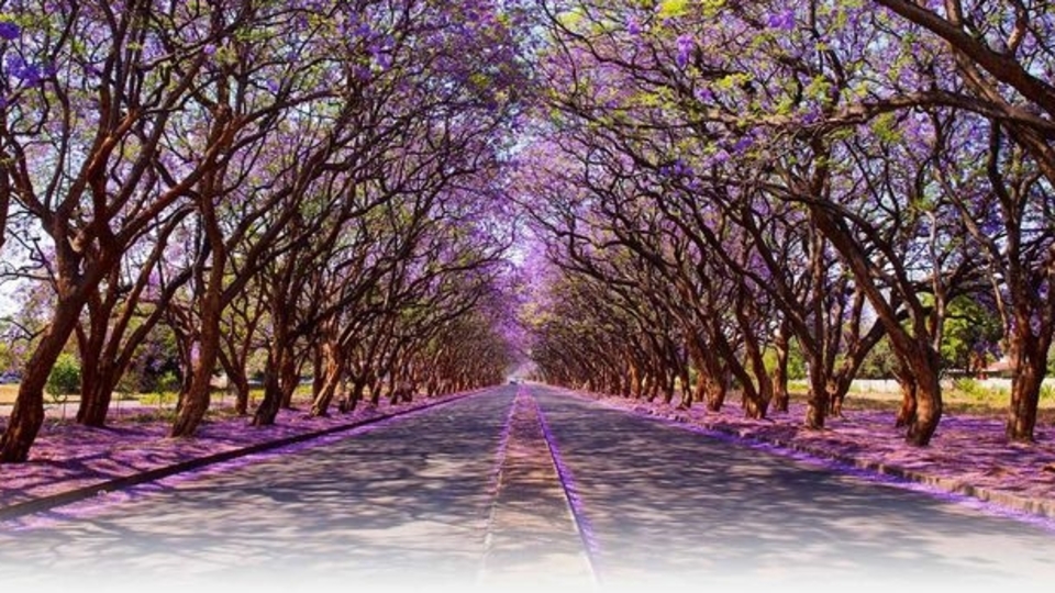 Dünyanın bütün renkli sokakları...