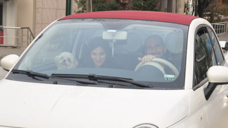 Köpekleriyle tura çıktılar
