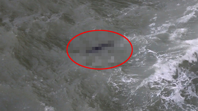 Nesli tükenmişti Antalya'da ortaya çıktı!