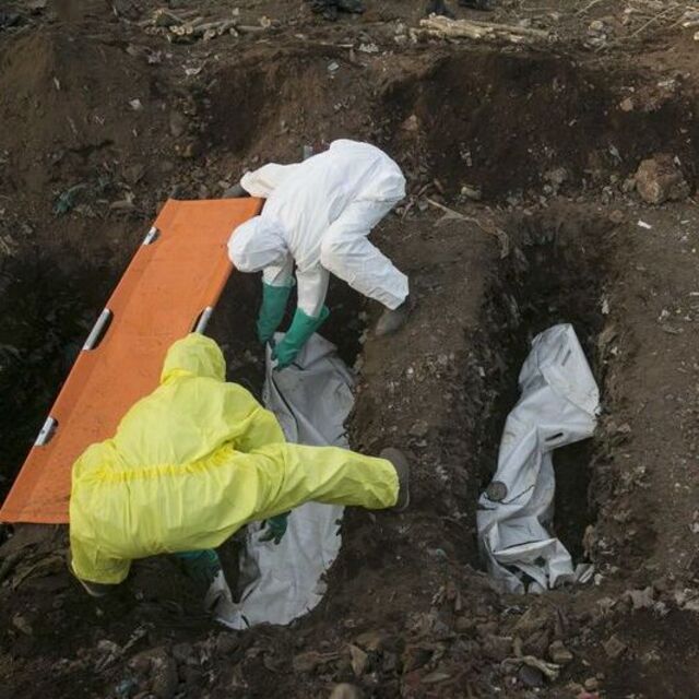 Ebola kayıpları artıyor