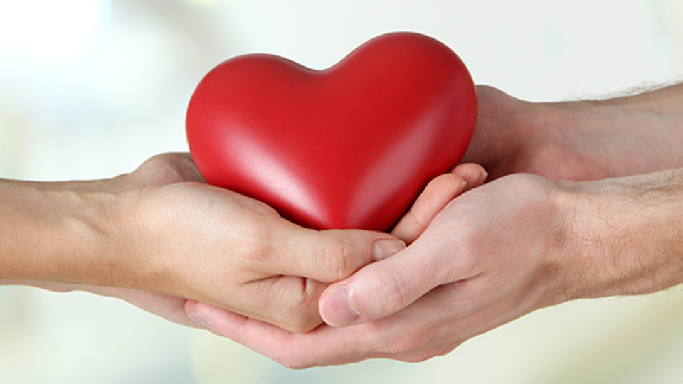 2 bin kişi bu yüzden öldü!