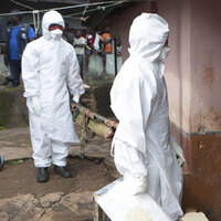 Hindistan'da domuz gribi!