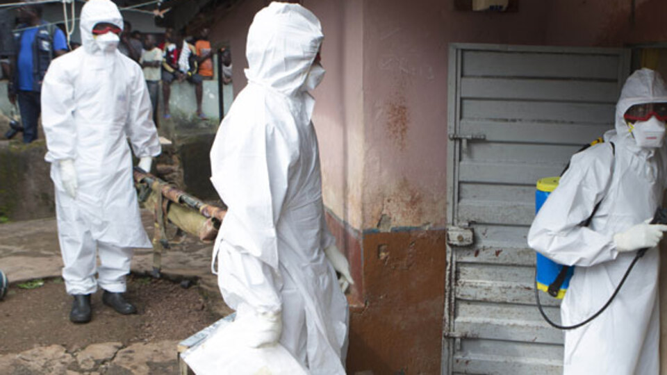 Hindistan'da domuz gribi!