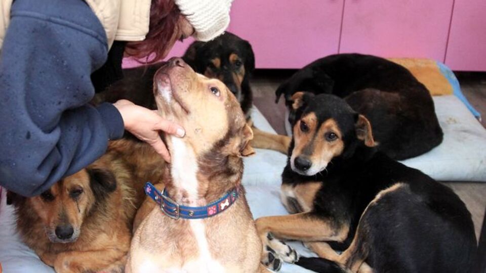 Yedikule'den Sevgi Günü Kermesi