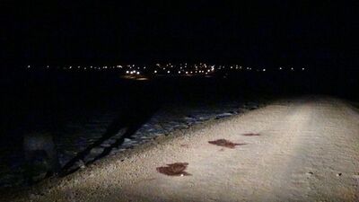 Katliamın sebebi Kıbrıs iddiası