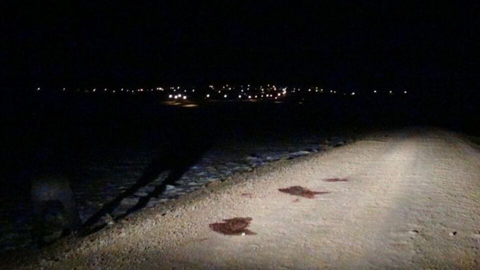 Katliamın sebebi Kıbrıs iddiası