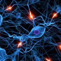 'Epilepsi hastalığı sara ile karıştırılıyor'