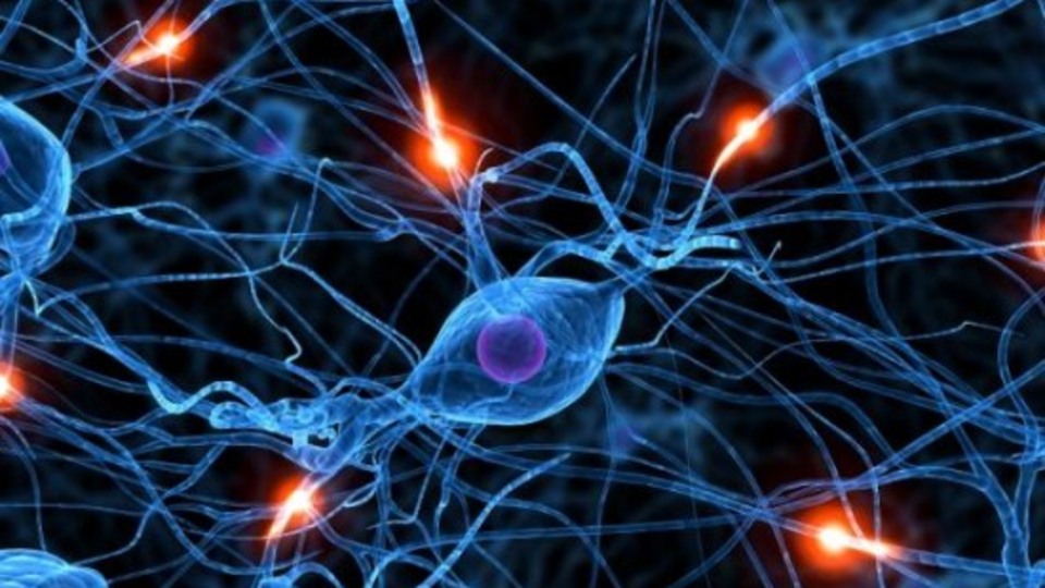 'Epilepsi hastalığı sara ile karıştırılıyor'