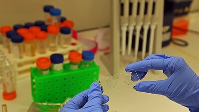 Kanser tedavisinde çığır açacak keşif