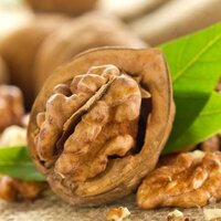 Güçlü bir hafıza için ceviz tüketin!