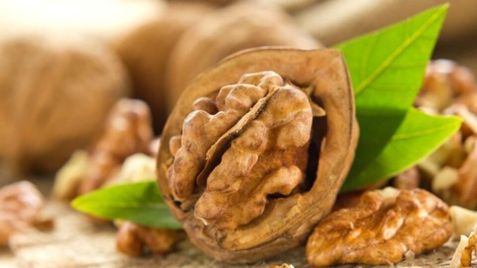 Güçlü bir hafıza için ceviz tüketin!