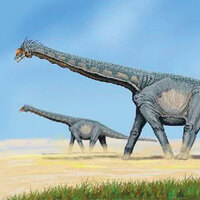 Dinozorların kafası güzelmiş!