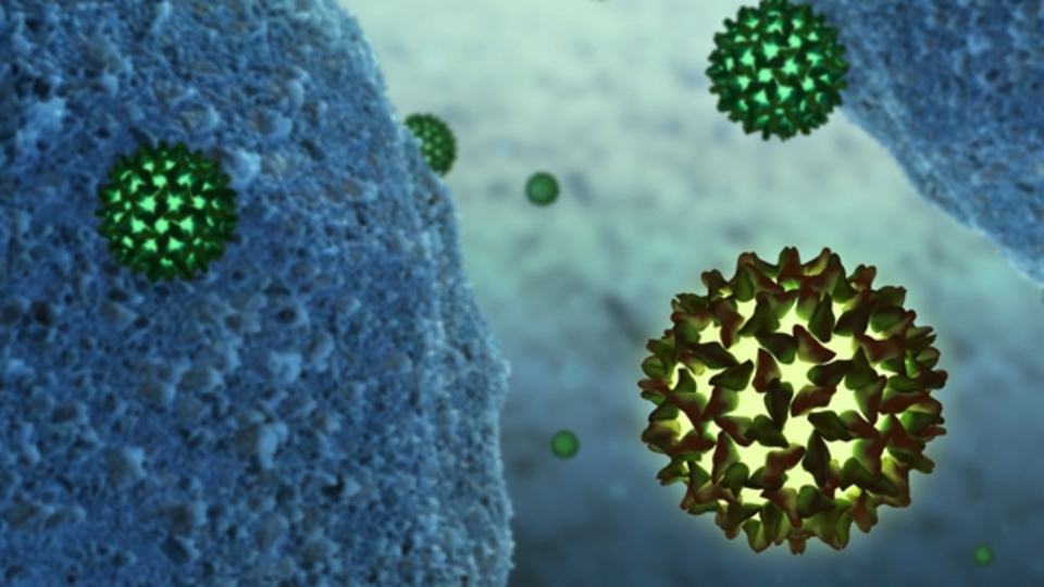 "Hepatit B, AIDS'ten daha bulaşıcı"