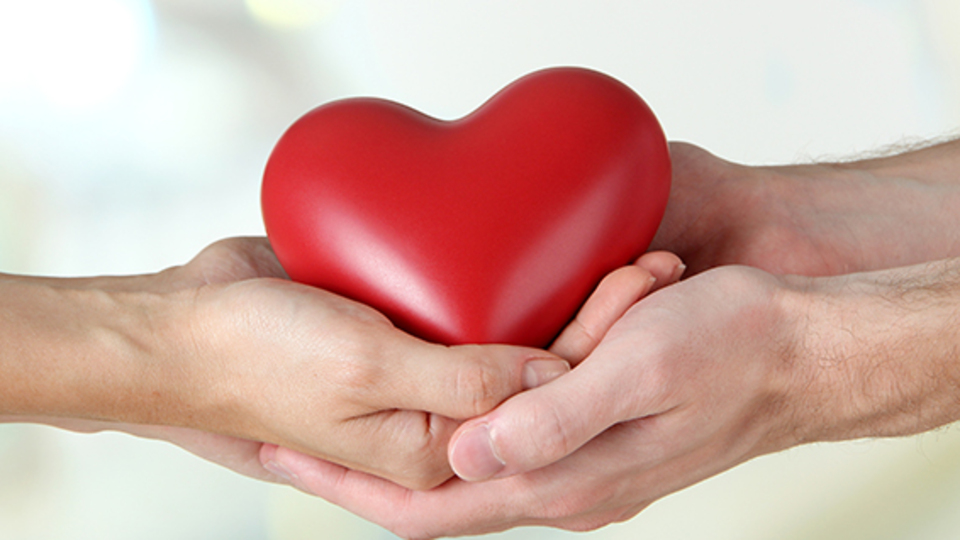 Kadavradan organ bağışı yüzde 22 arttı!