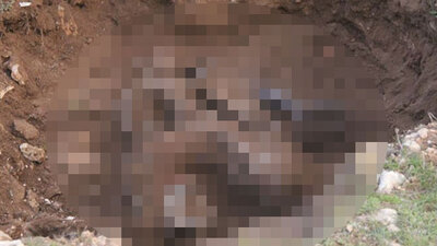 Bu görüntüler şoke etti!