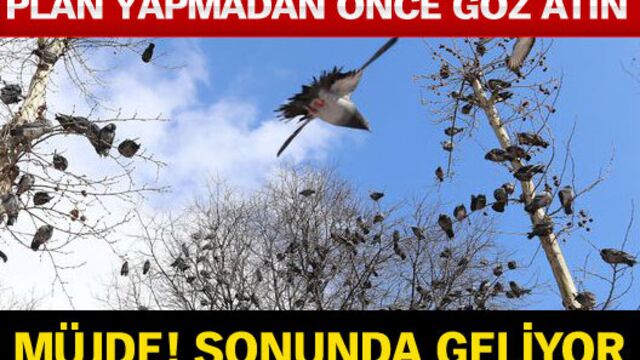 Müjde! Sonunda geliyor