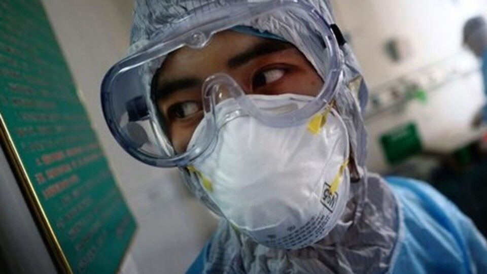 Kuş gribi yine can aldı!