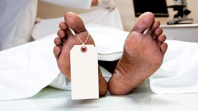 Domuz gribi hortladı!