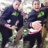 Bu görüntülere dünyadan tepki yağıyor!