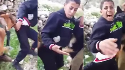 Bu görüntülere dünyadan tepki yağıyor!