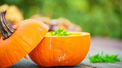 Gözlerini seven balkabağı yesin!