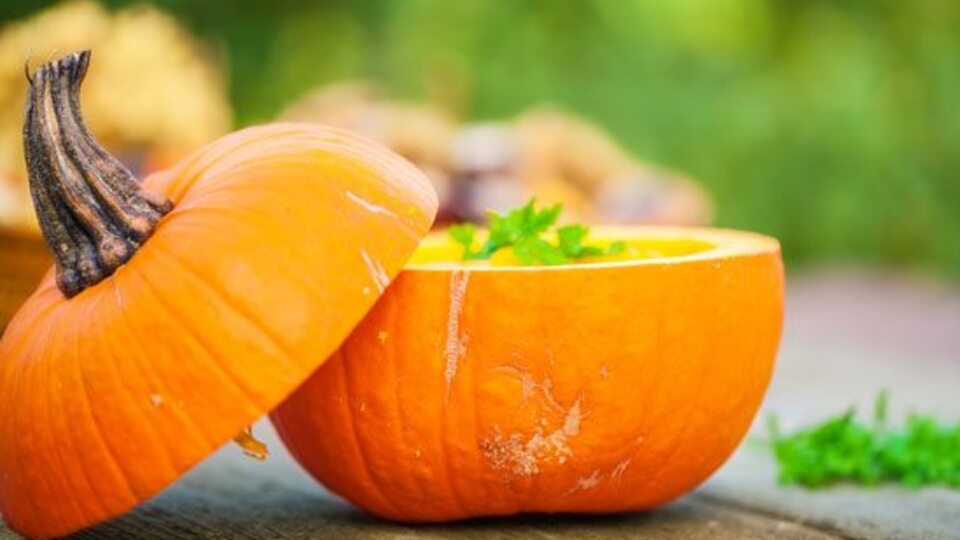 Gözlerini seven balkabağı yesin!