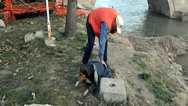 Islak sokak köpeğini ceketiyle ısıttı