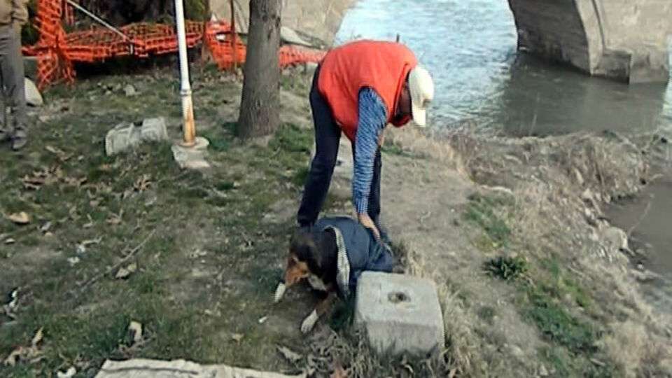 Islak sokak köpeğini ceketiyle ısıttı