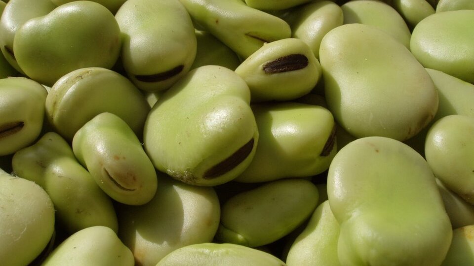 Tedaviyi olumsuz etkiliyor!