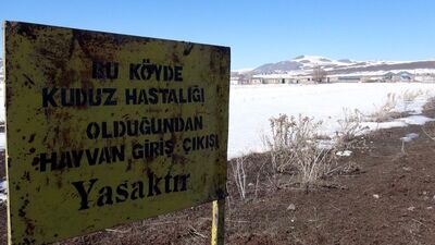 Van'da kuduz karantinası