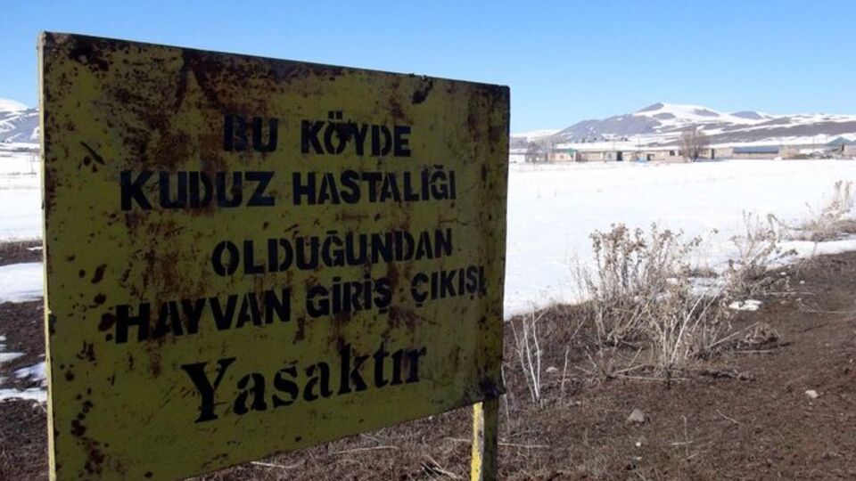 Van'da kuduz karantinası