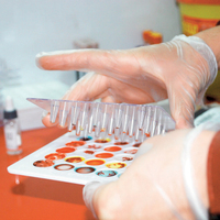 Kök hücrede eşleştirmeler başlıyor