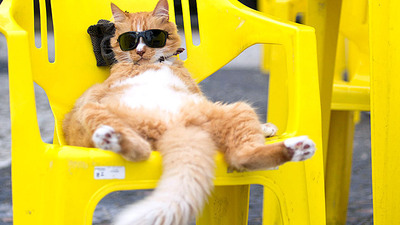 Elinde bir kokteyli eksik!