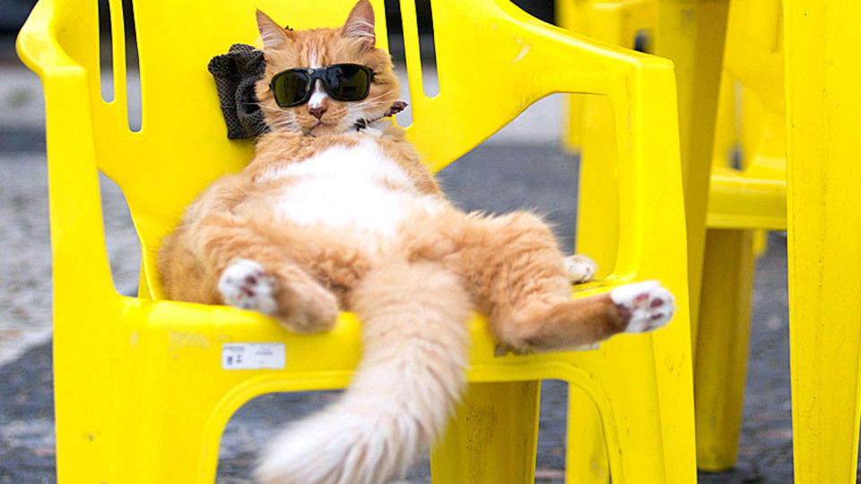 Elinde bir kokteyli eksik!